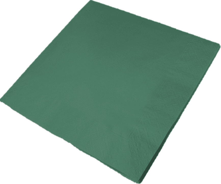 Napkin 2 Ply HOLLY GREEN 33CM 20 X 100 Napkin 2 Ply HOLLY GREEN 33CM 20 X 100